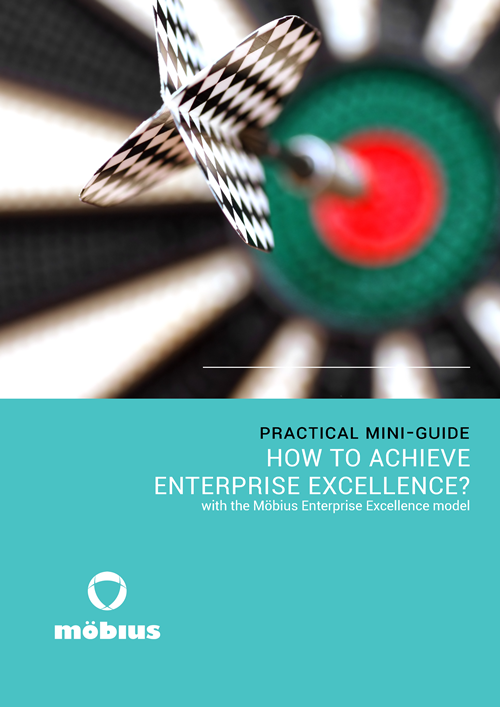How to achieve enterprise excellence with the Möbius Enterprise